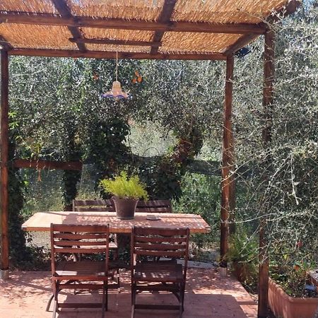 La Merla Del Tasso Camaiore Dış mekan fotoğraf