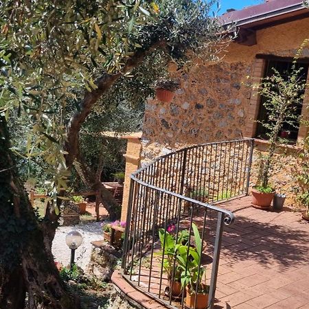 La Merla Del Tasso Camaiore Dış mekan fotoğraf