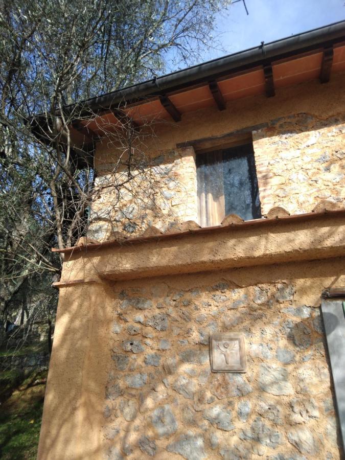 La Merla Del Tasso Camaiore Dış mekan fotoğraf