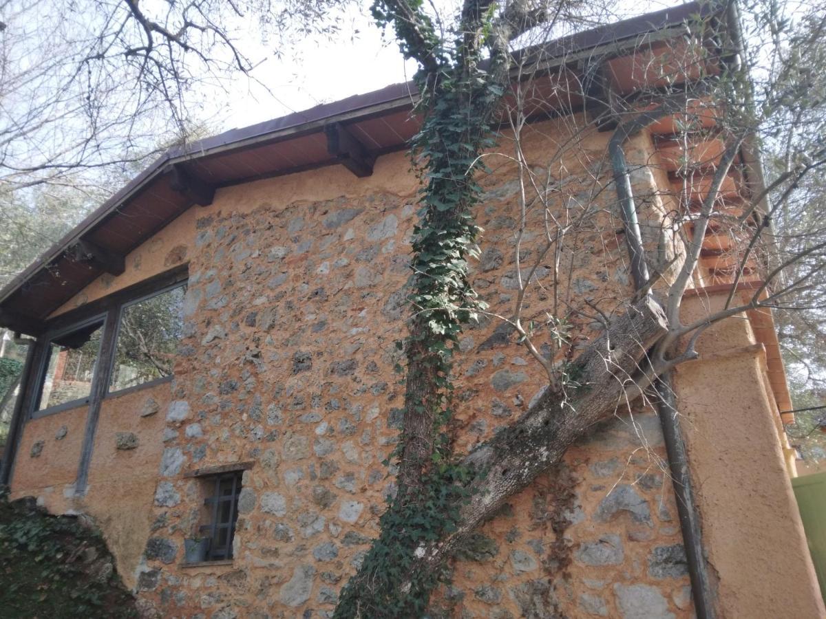 La Merla Del Tasso Camaiore Dış mekan fotoğraf