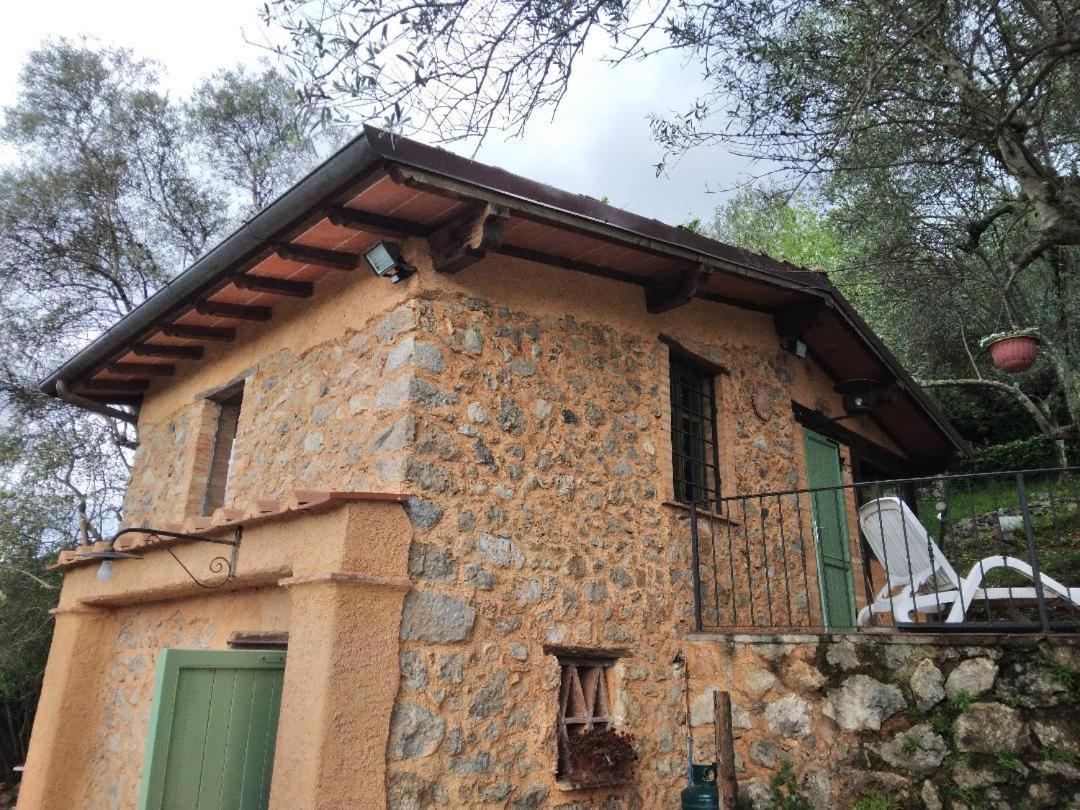 La Merla Del Tasso Camaiore Dış mekan fotoğraf