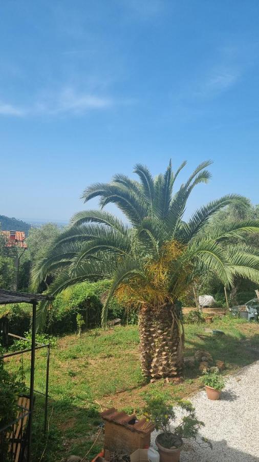 La Merla Del Tasso Camaiore Dış mekan fotoğraf