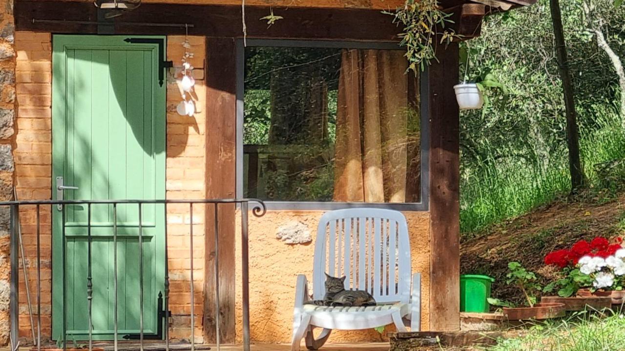 La Merla Del Tasso Camaiore Dış mekan fotoğraf